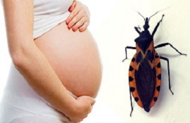 Mi Primer Embarazo - Chagas