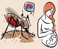 Dengue en el embarazo