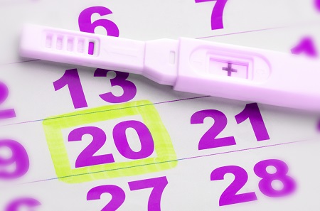 Mi Primer Embarazo - Calcula tus días fértiles