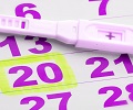 Mi Primer Embarazo - Calcula tus días fértiles
